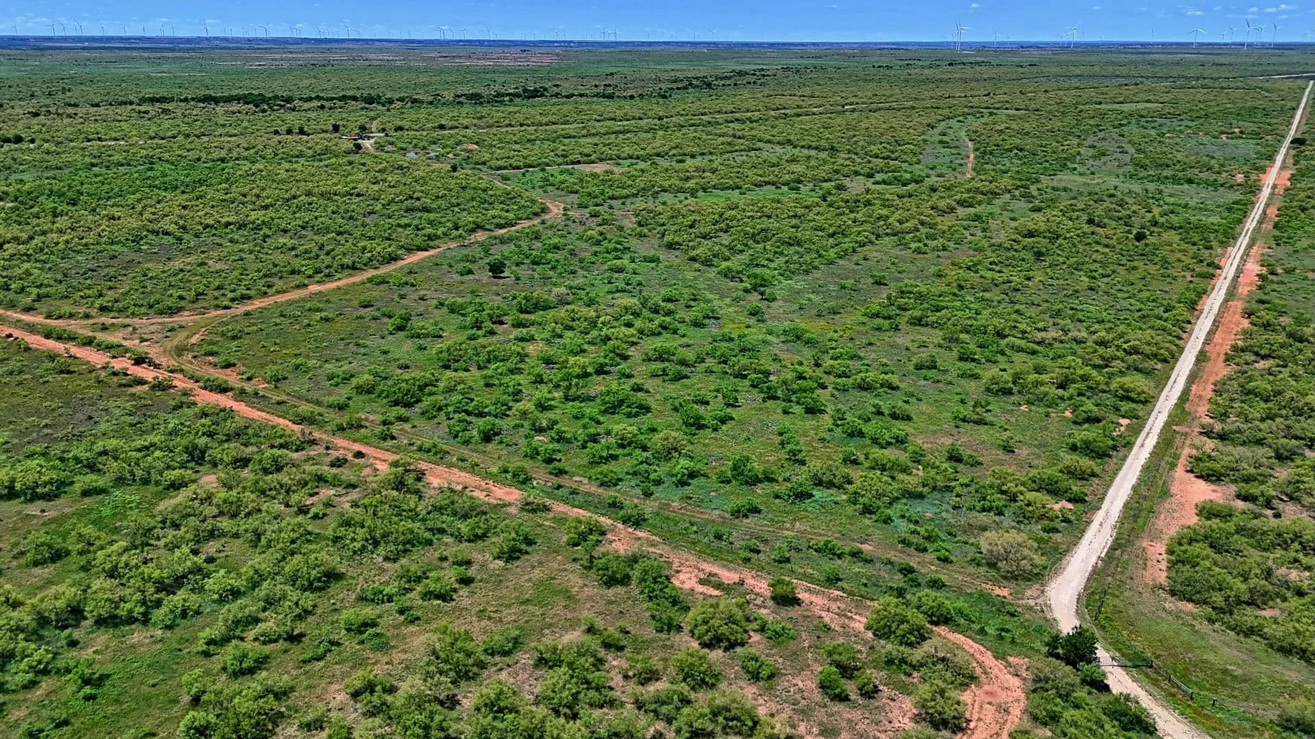 Foard County Texas land with open native pasture