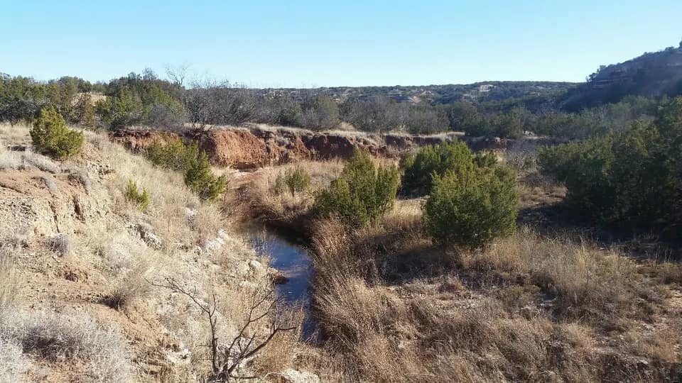 3,655 acre hunting land in King County, Texas