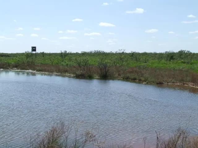 4,173 acre hunting land in Foard County, Texas
