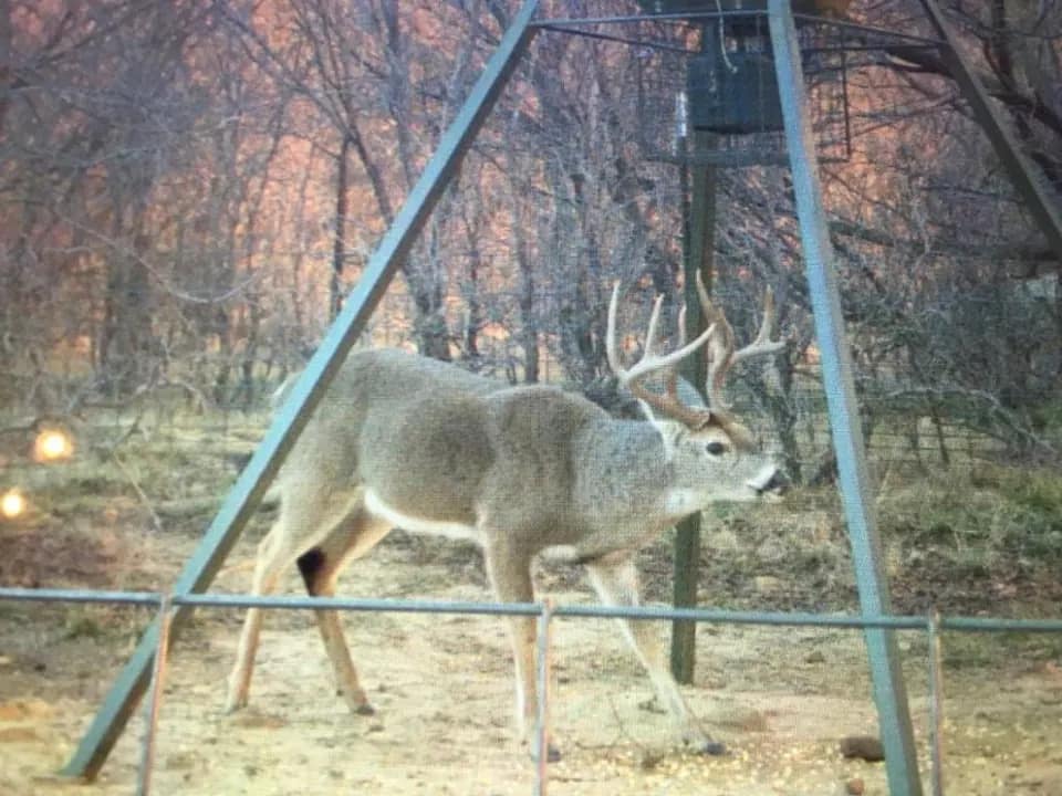 123 acre hunting land in Jack County, Texas