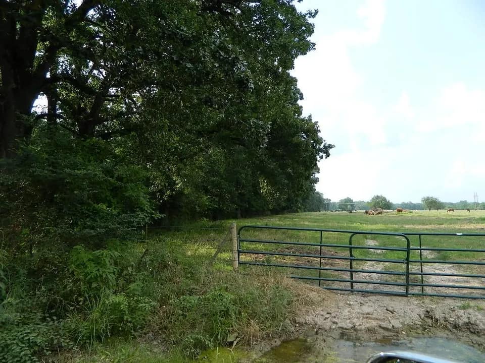 74.8 acre hunting land in Red River County, Texas