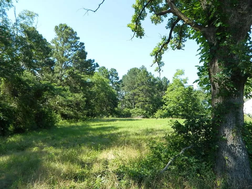 126.55 acre timberland in Wood County, Texas