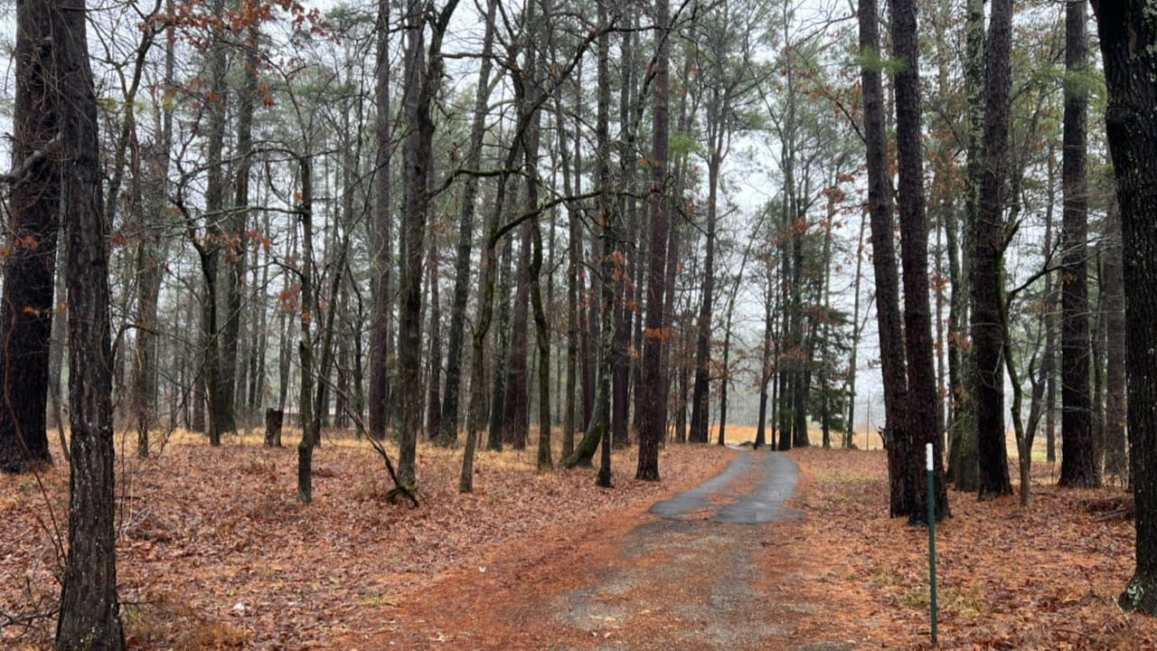 Texas Ranches for Sale | Ultimate Ranch Buyer Guide