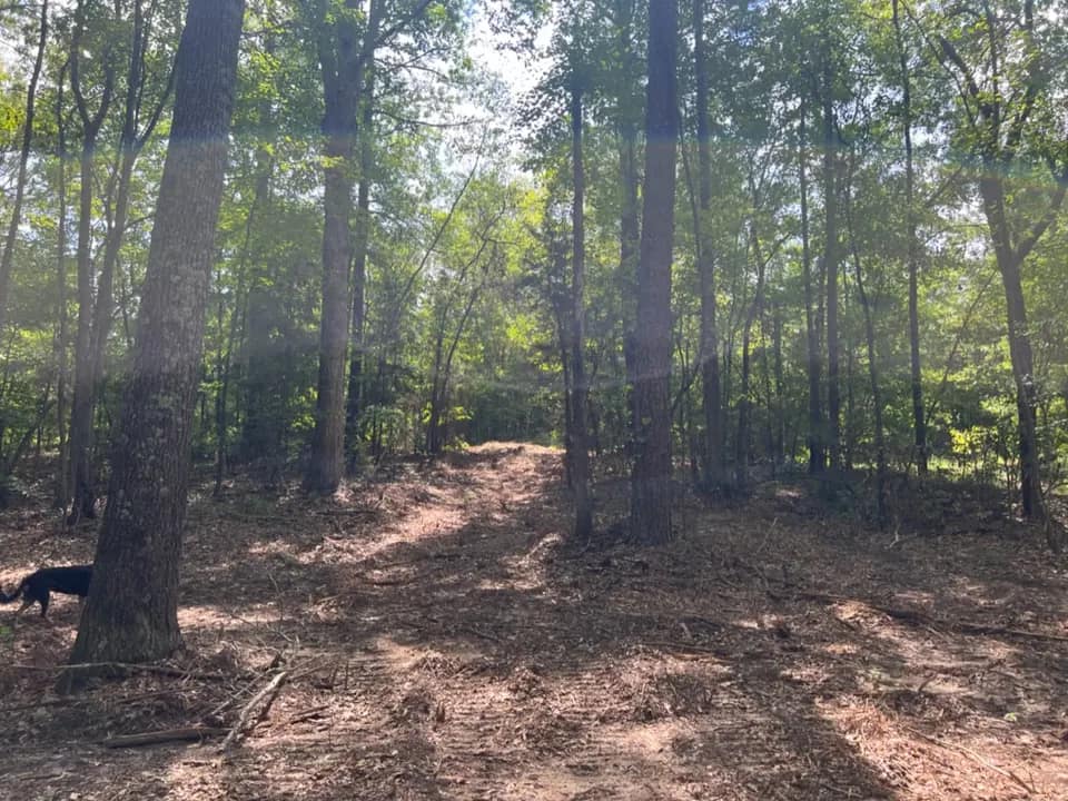 10.22 acre hunting land in Cass County, Texas