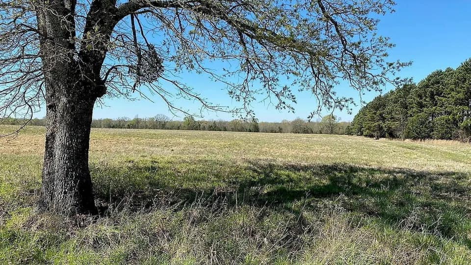 14.04 acre timberland in Red River County, Texas