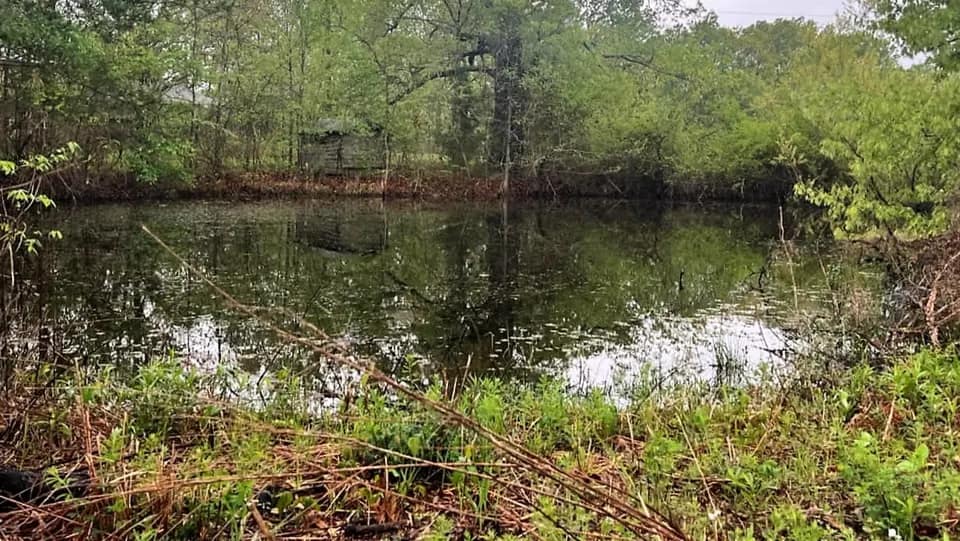10.3 acre ranch in Red River County, Texas