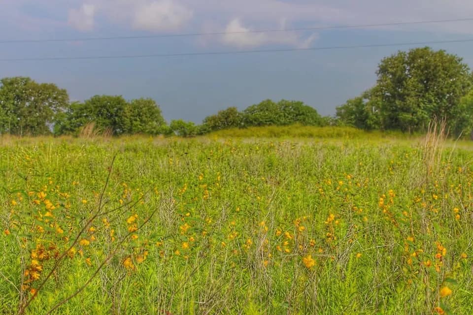 149 acre hunting land in Montague County, Texas