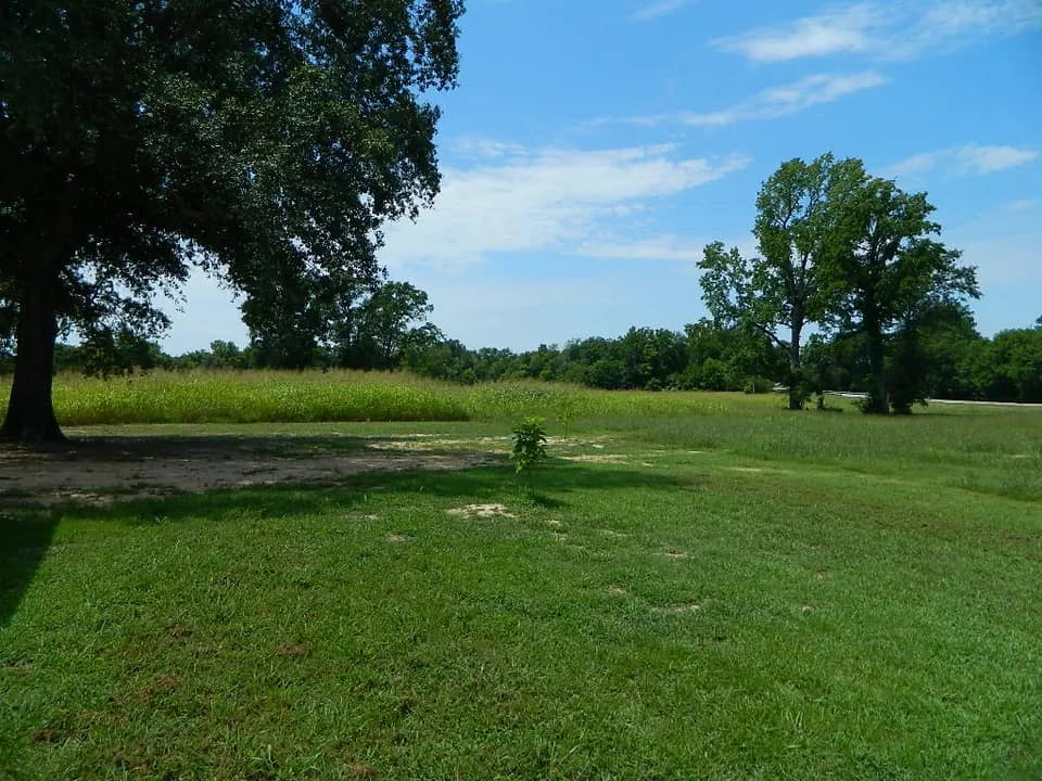 15 acre ranch in Red River County, Texas