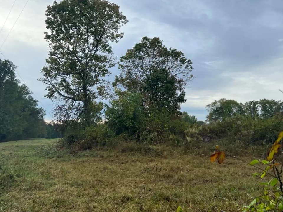 15.67 acre timberland in Red River County, Texas