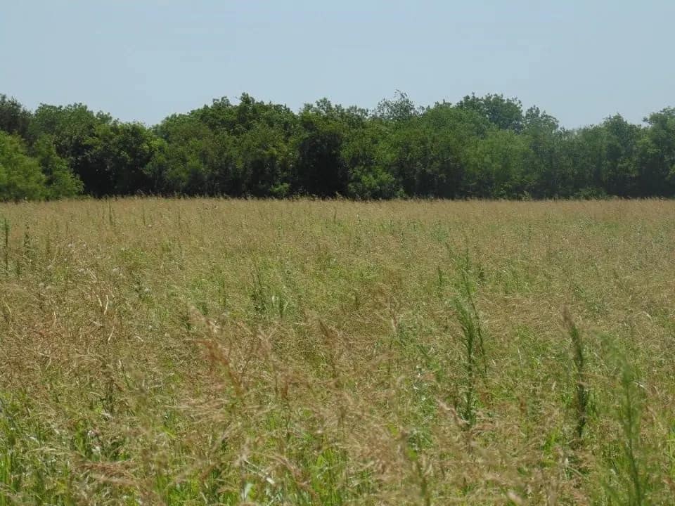 10 acre ranch in Taylor County, Texas
