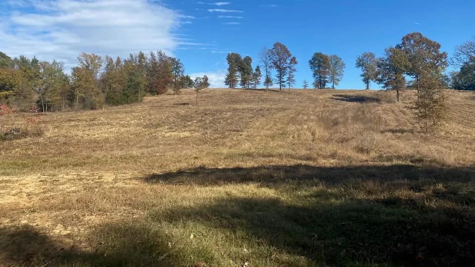 151 acre ranch in Morris County, Texas