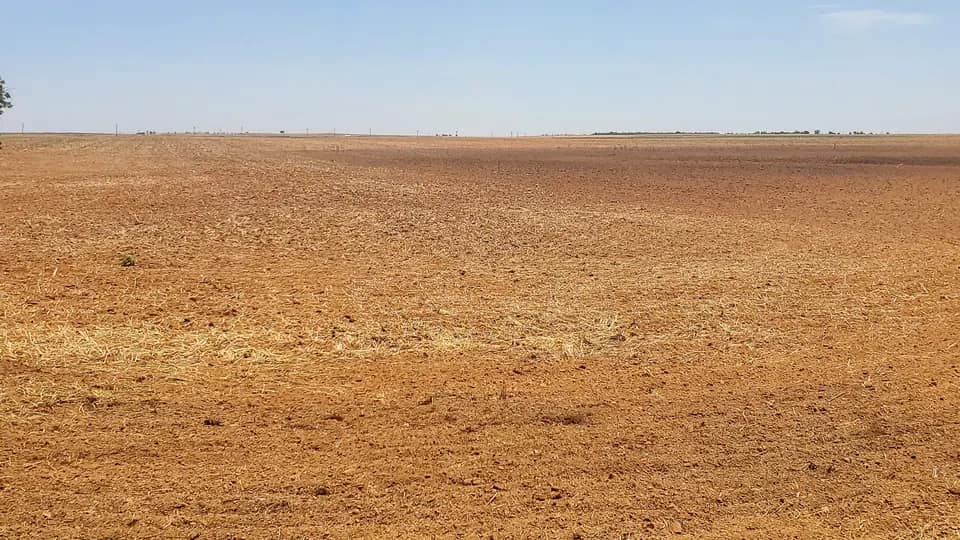 160 acre farm in Knox County, Texas