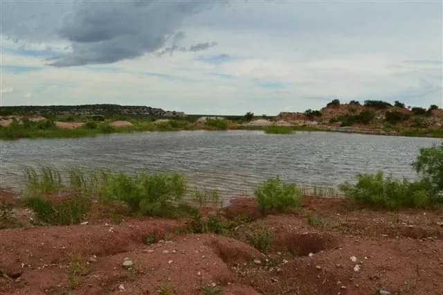 1,640 acre hunting land in King County, Texas