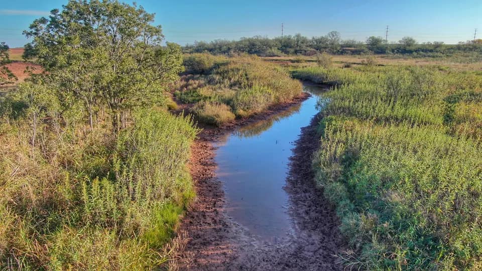 164 acre timberland in Wilbarger County, Texas