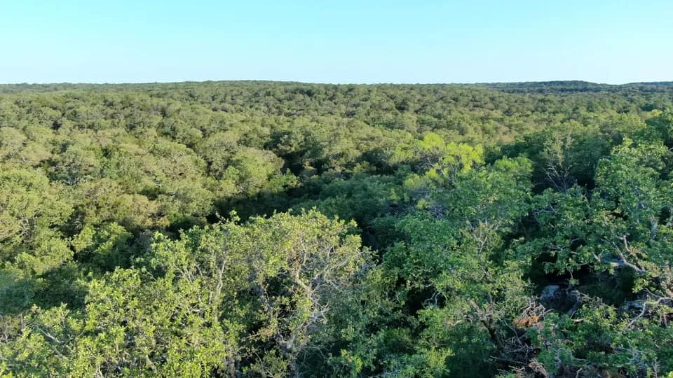 165 acre hunting land in Young County, Texas