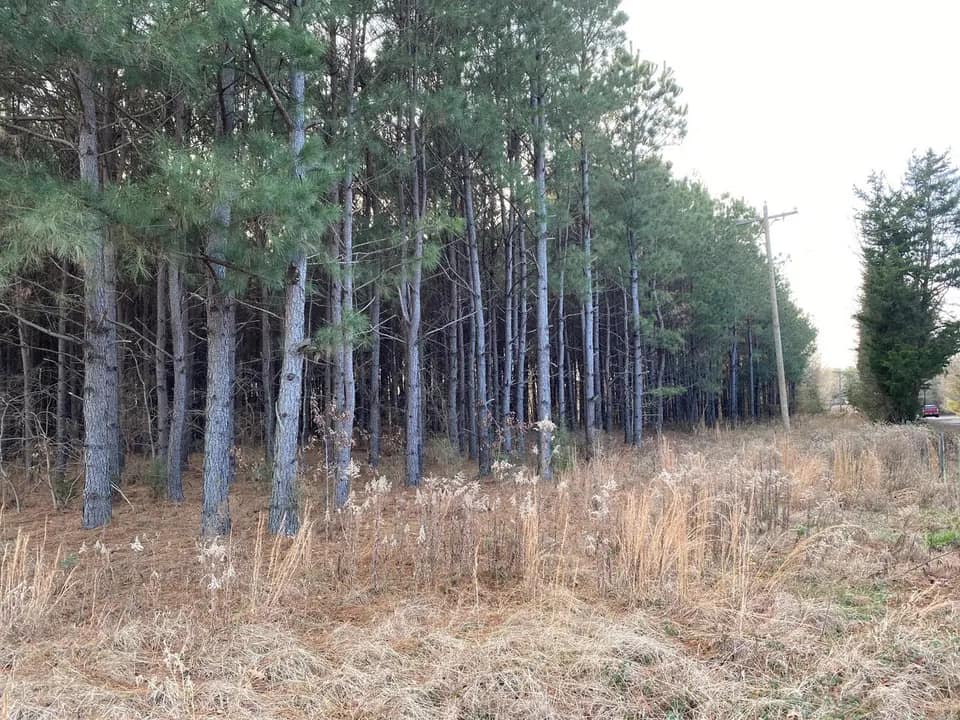 17 acre ranch in Morris County, Texas