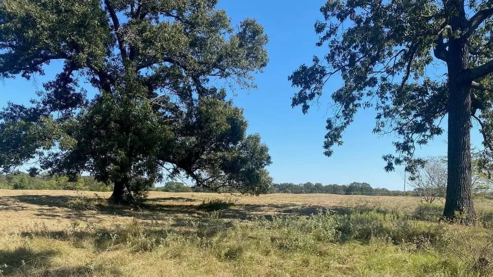 17.17 acre ranch in Titus County, Texas