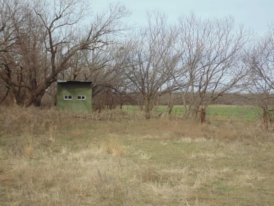 170 acre hunting land in Jones County, Texas