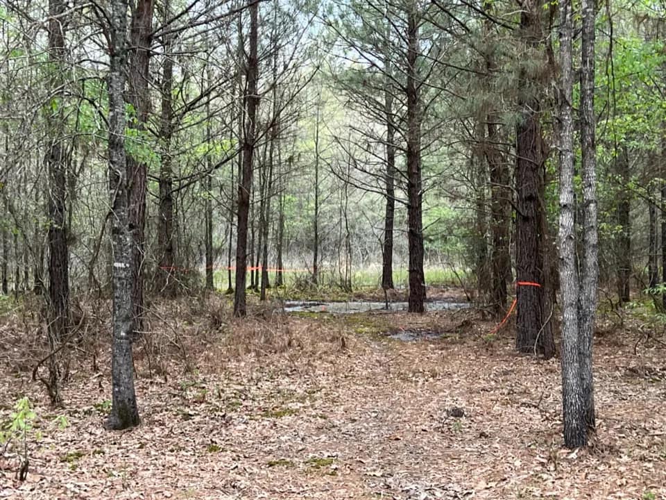 18.31 acre timberland in Bowie County, Texas