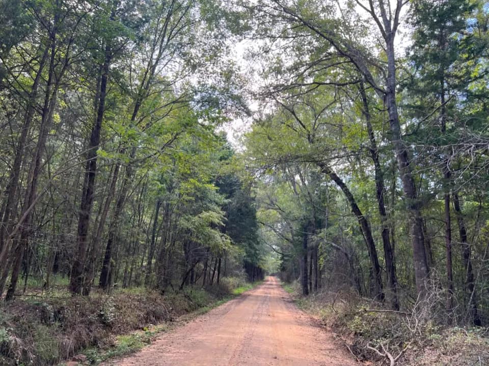 18.53 acre recreational land in Cass County, Texas