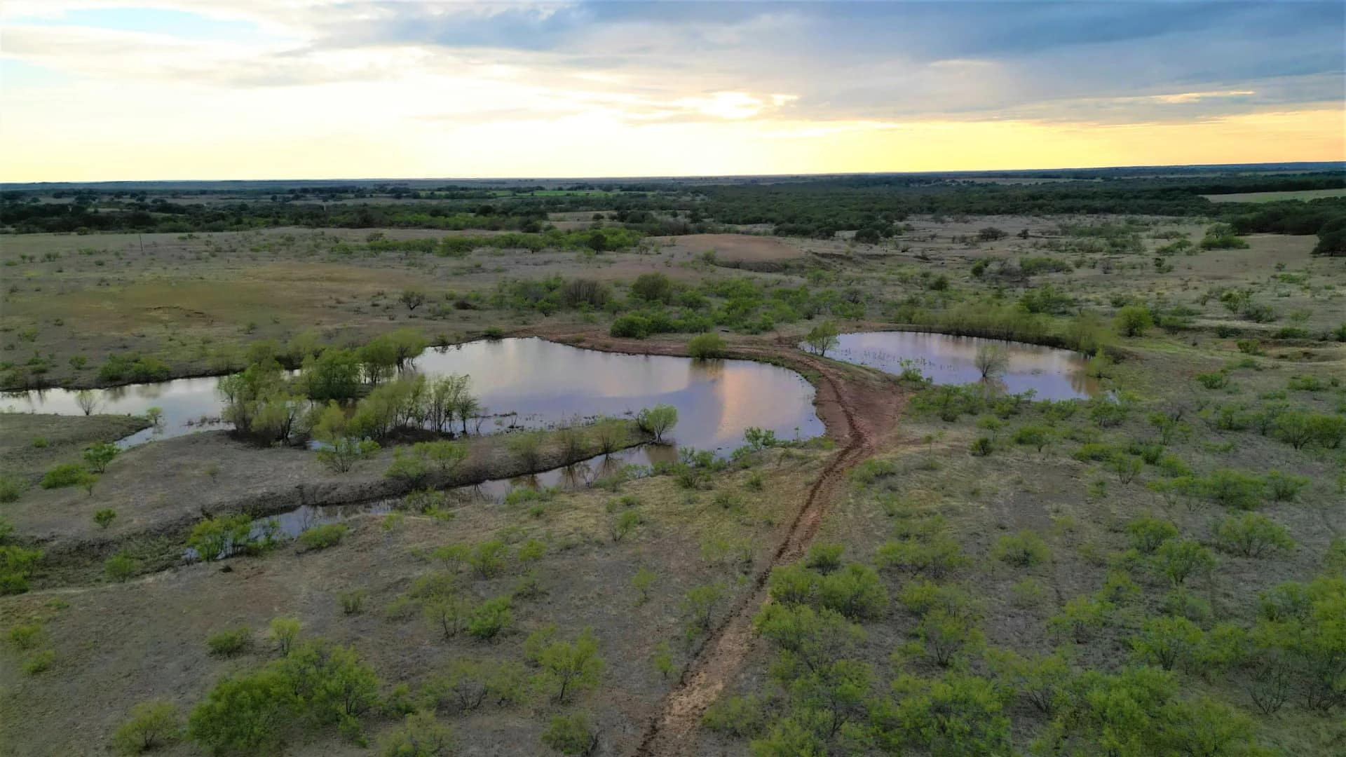 Montague County Texas land with native grass pasture