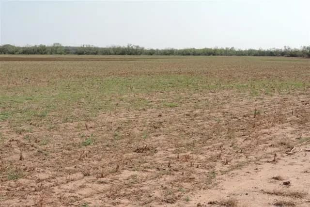 1,815 acre hunting land in Baylor County, Texas