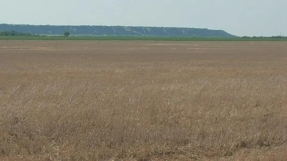 184 acre farm in Morris County, Texas
