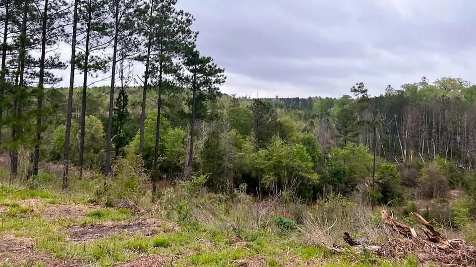 19.76 acre ranch in Cass County, Texas