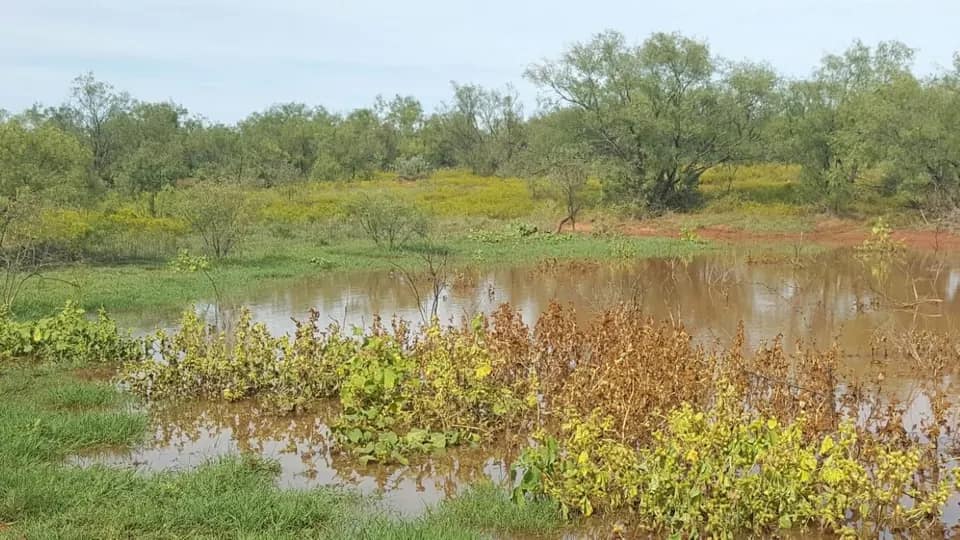 1,005 acre hunting land in Haskell County, Texas