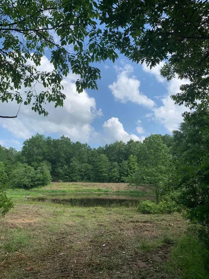 20 acre hunting land in Lamar County, Texas