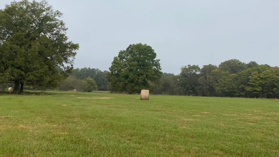 31 acre hunting land in Red River County, Texas