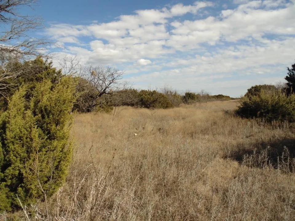 20 acre ranch in Taylor County, Texas