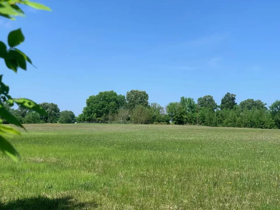 20 acre hunting land in Titus County, Texas