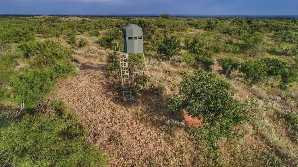 200 acre timberland in King County, Texas