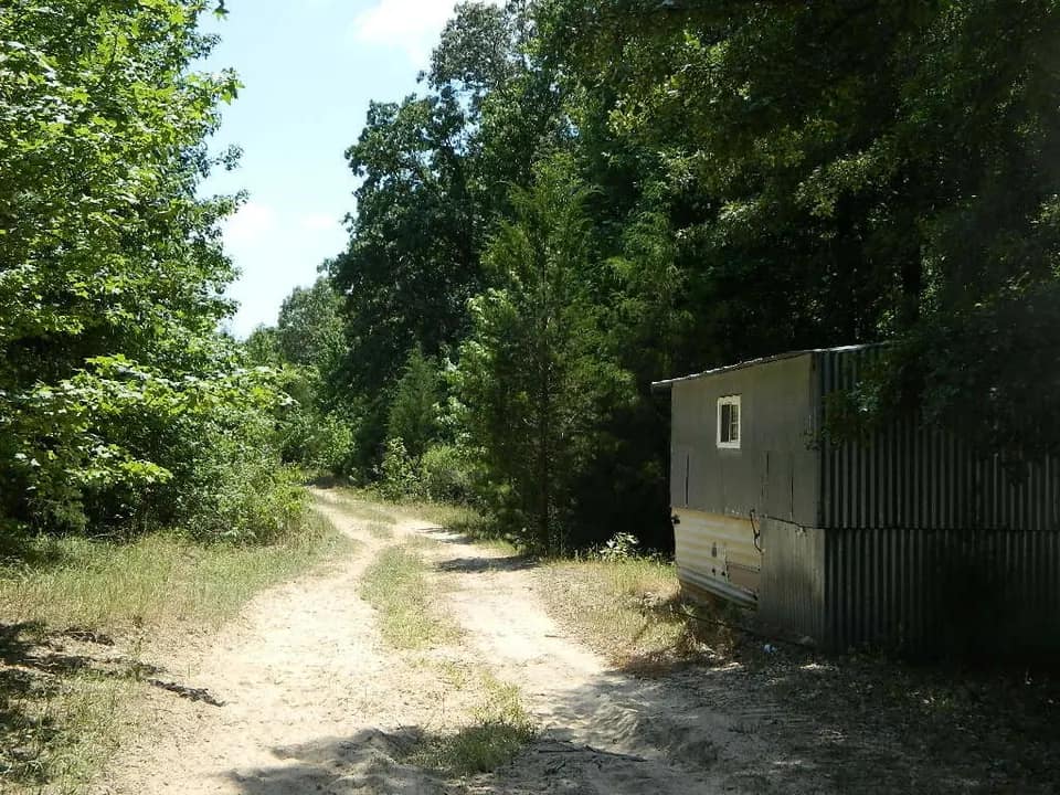 204 acre timberland in Red River County, Texas