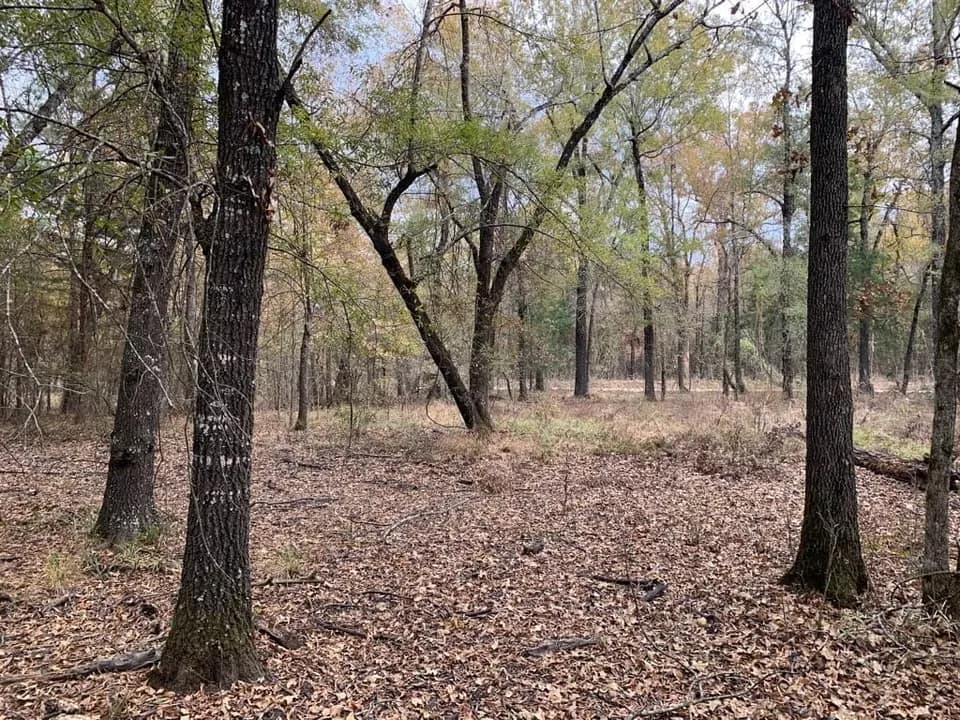 21.94 acre ranch in Red River County, Texas