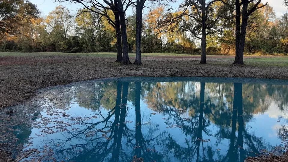 21.01 acre ranch in Titus County, Texas
