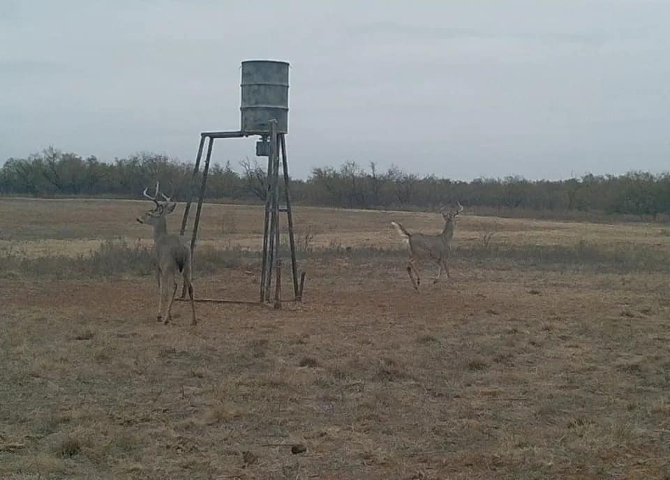 213 acre hunting land in Hardeman County, Texas