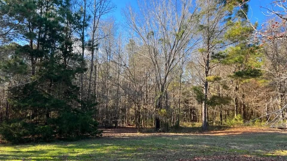 22.28 acre hunting land in Cass County, Texas