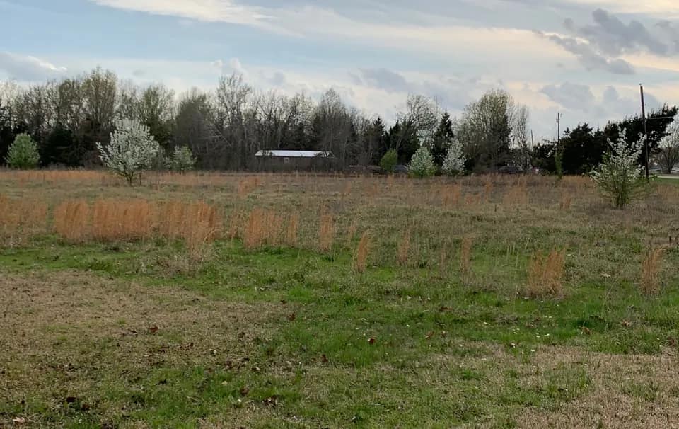 22 acre hunting land in Red River County, Texas
