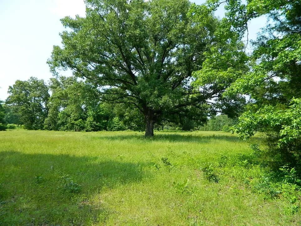 22 acre ranch in Titus County, Texas