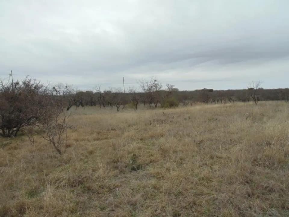 1.68 acre ranch in Coleman County, Texas
