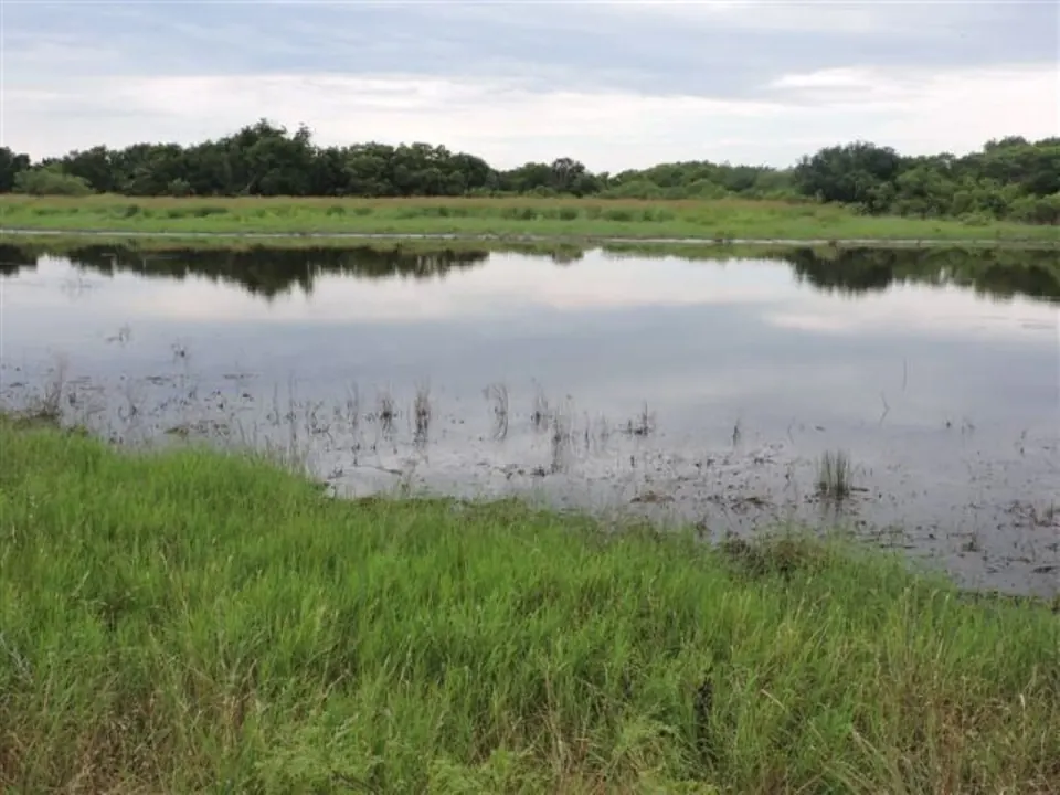 103 acre farm in Wichita County, Texas