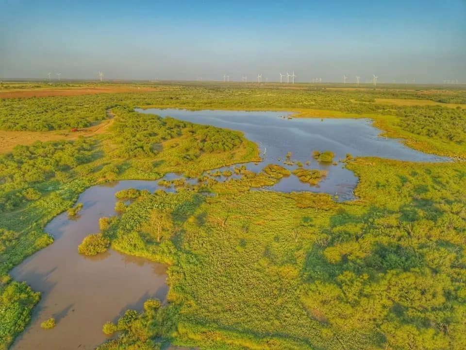 1,031 acre hunting land in Archer County, Texas