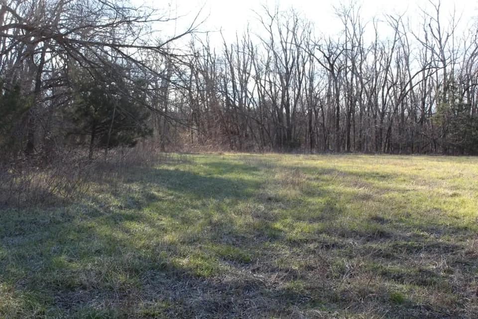 245.84 acre timberland in Lamar County, Texas