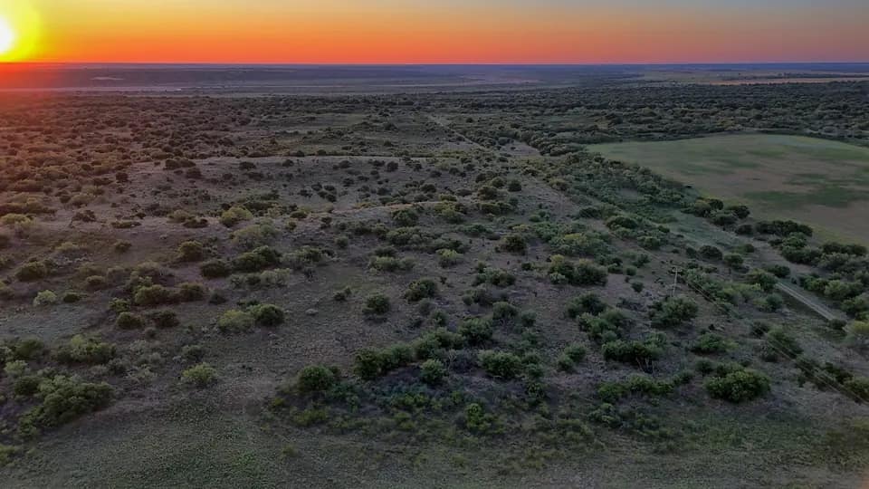 247 acre farm in Hardeman County, Texas
