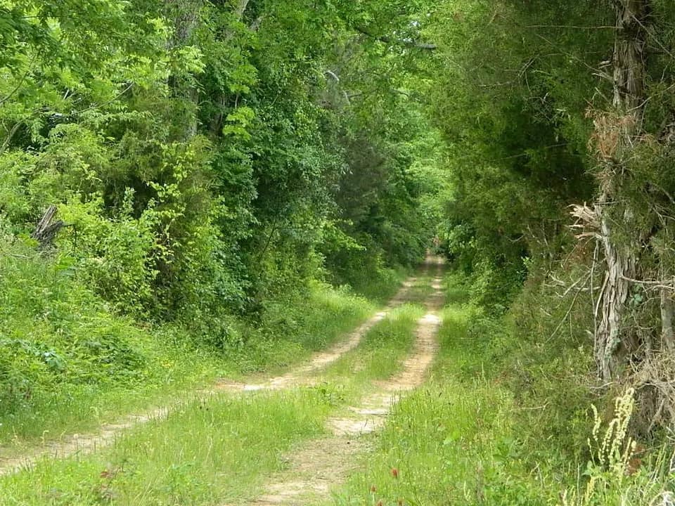25 acre farm in Bowie County, Texas