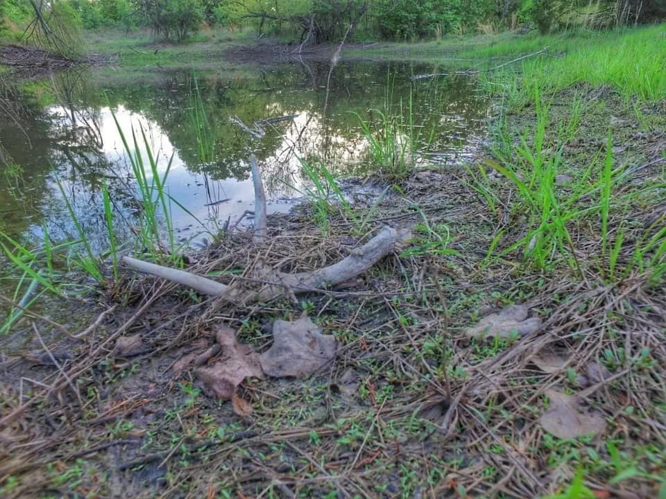 25.32 acre farm in Montague County, Texas