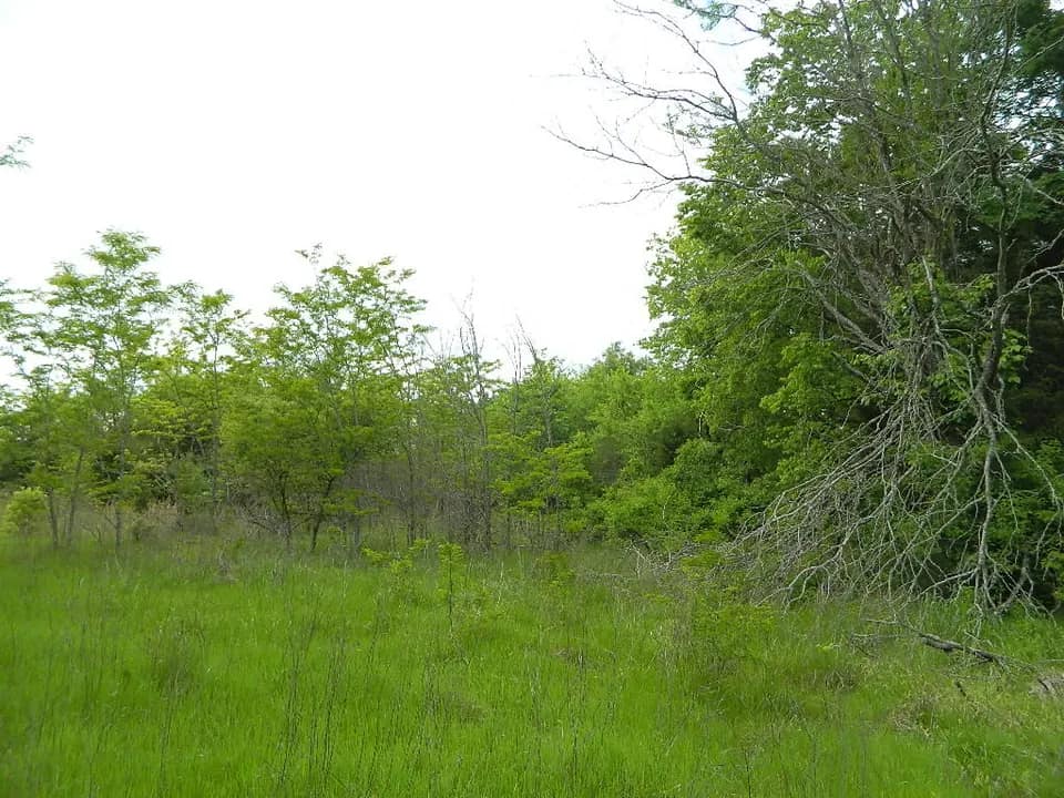 25 acre farm in Red River County, Texas