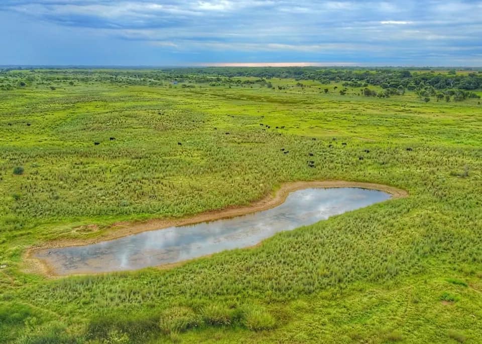251 acre hunting land in Wichita County, Texas